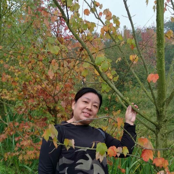 牵手。相伴的照片
