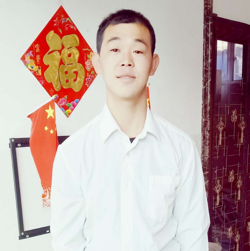 乌龟给紧张的照片