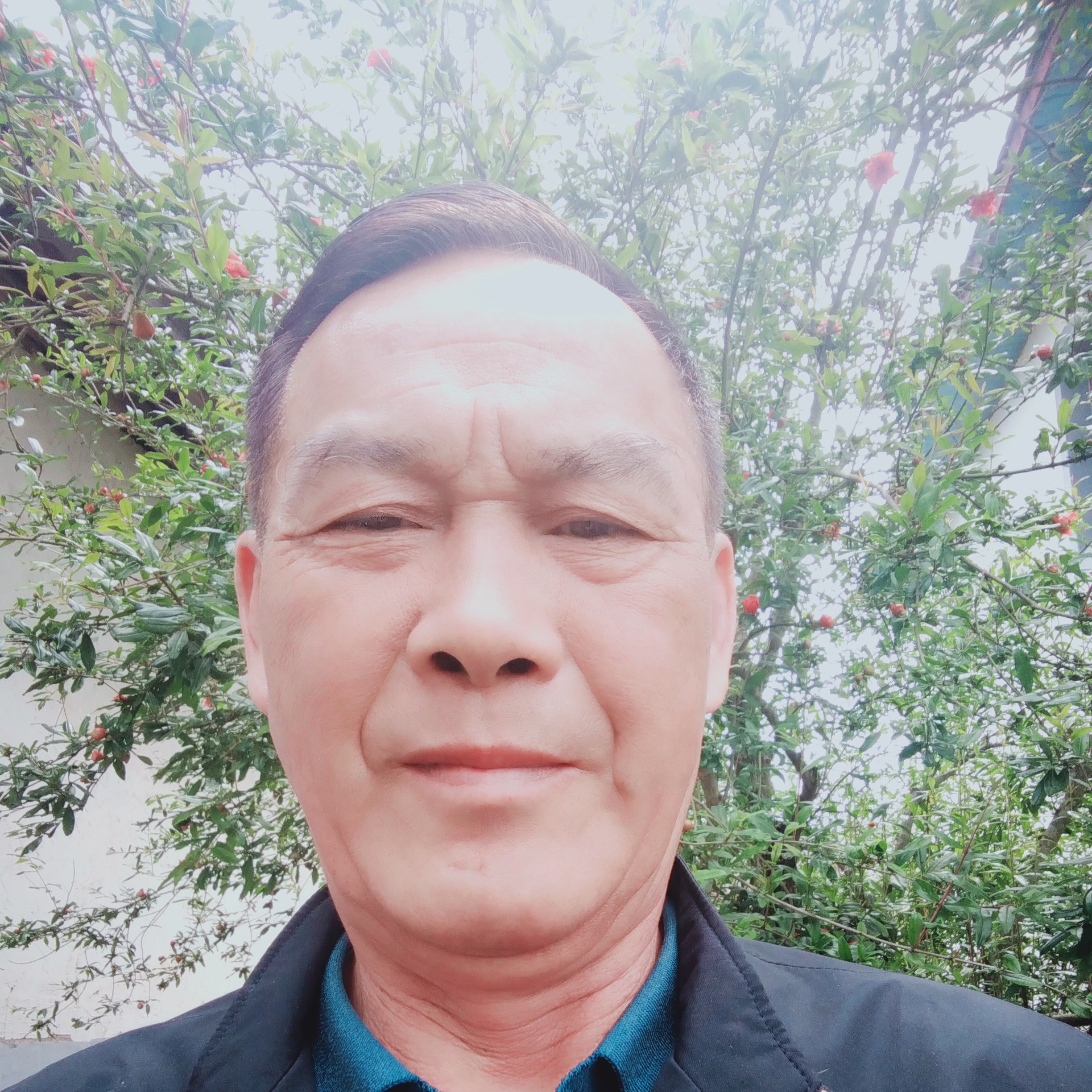 寂冷那黄蜂的照片