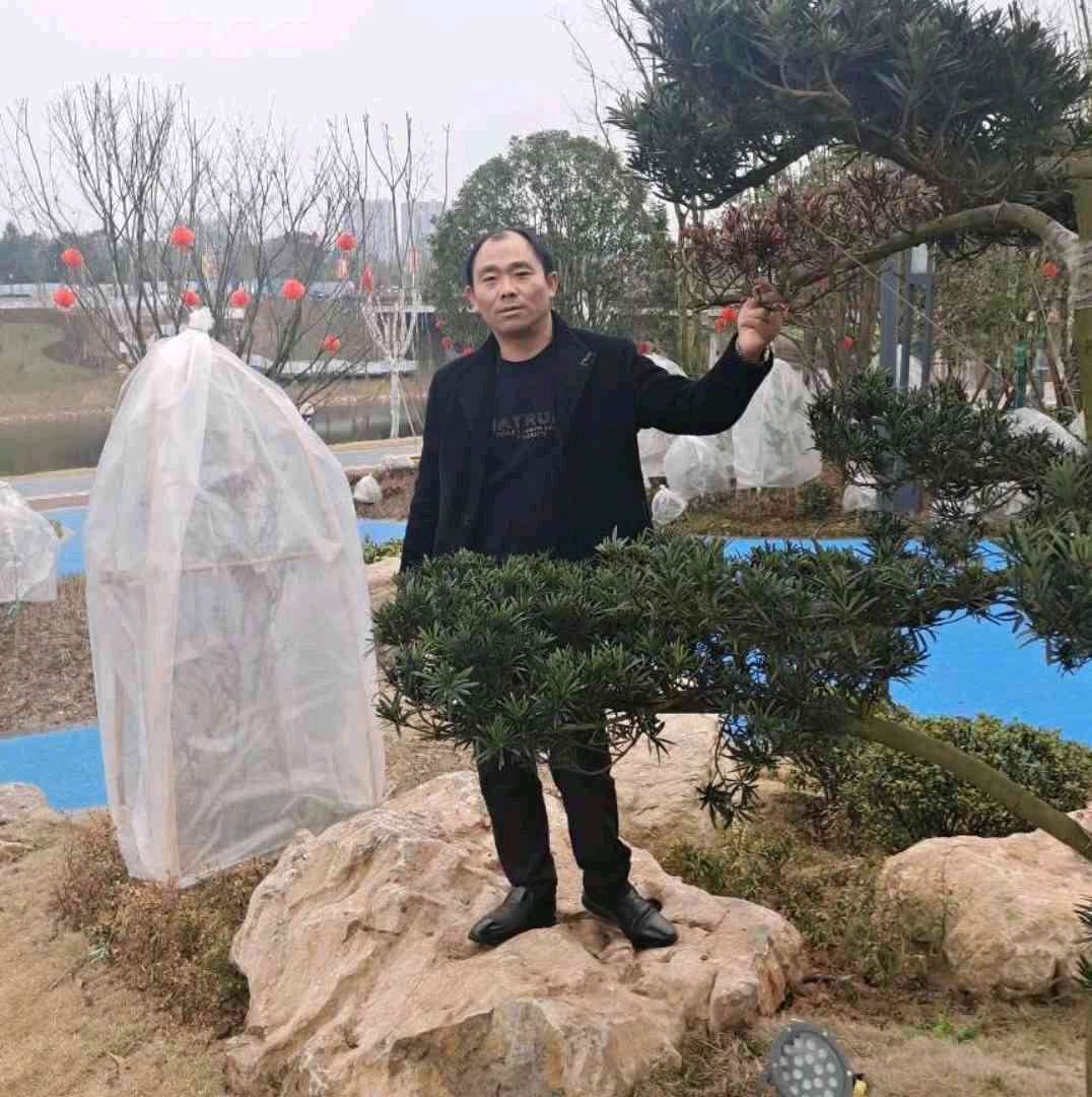 一世宠妃的照片