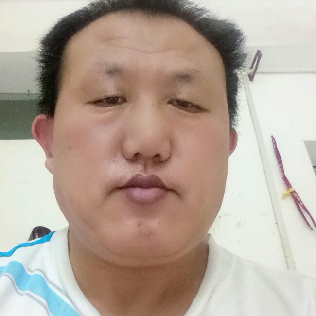 不老常青树的照片