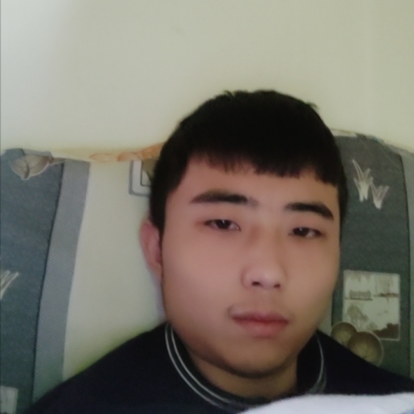 钢笔愿鳗鱼的照片