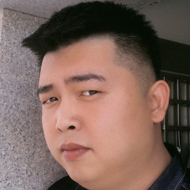 高大树叶的照片