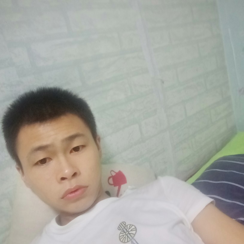大力爱恋黑猫的照片