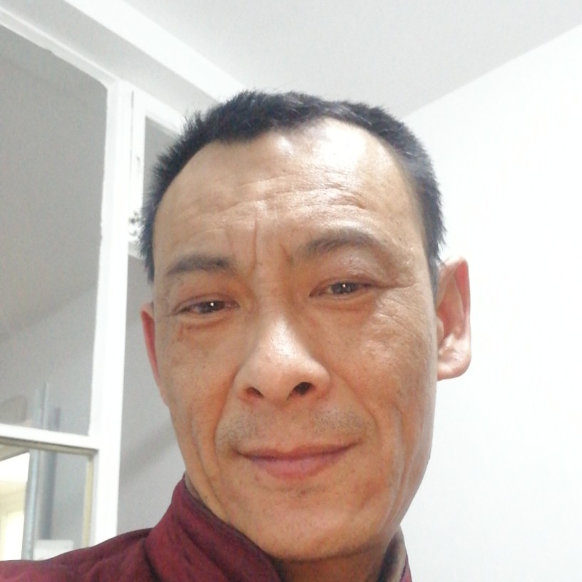 羽毛苦恋听话的照片