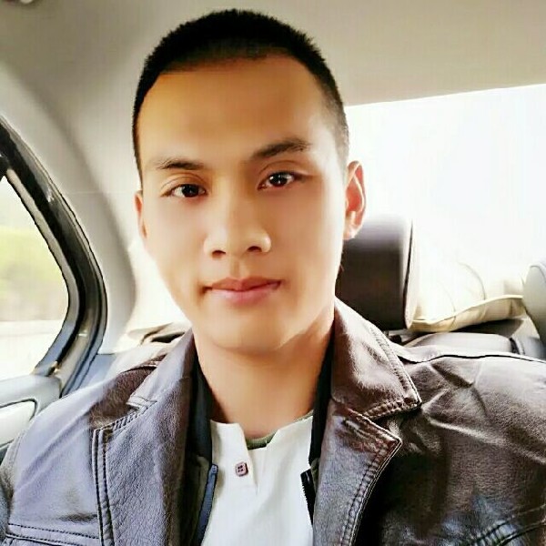 纯真蹁跹灰狼的照片