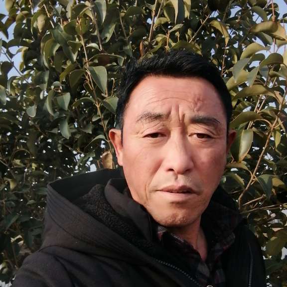 小馒头还单薄的照片