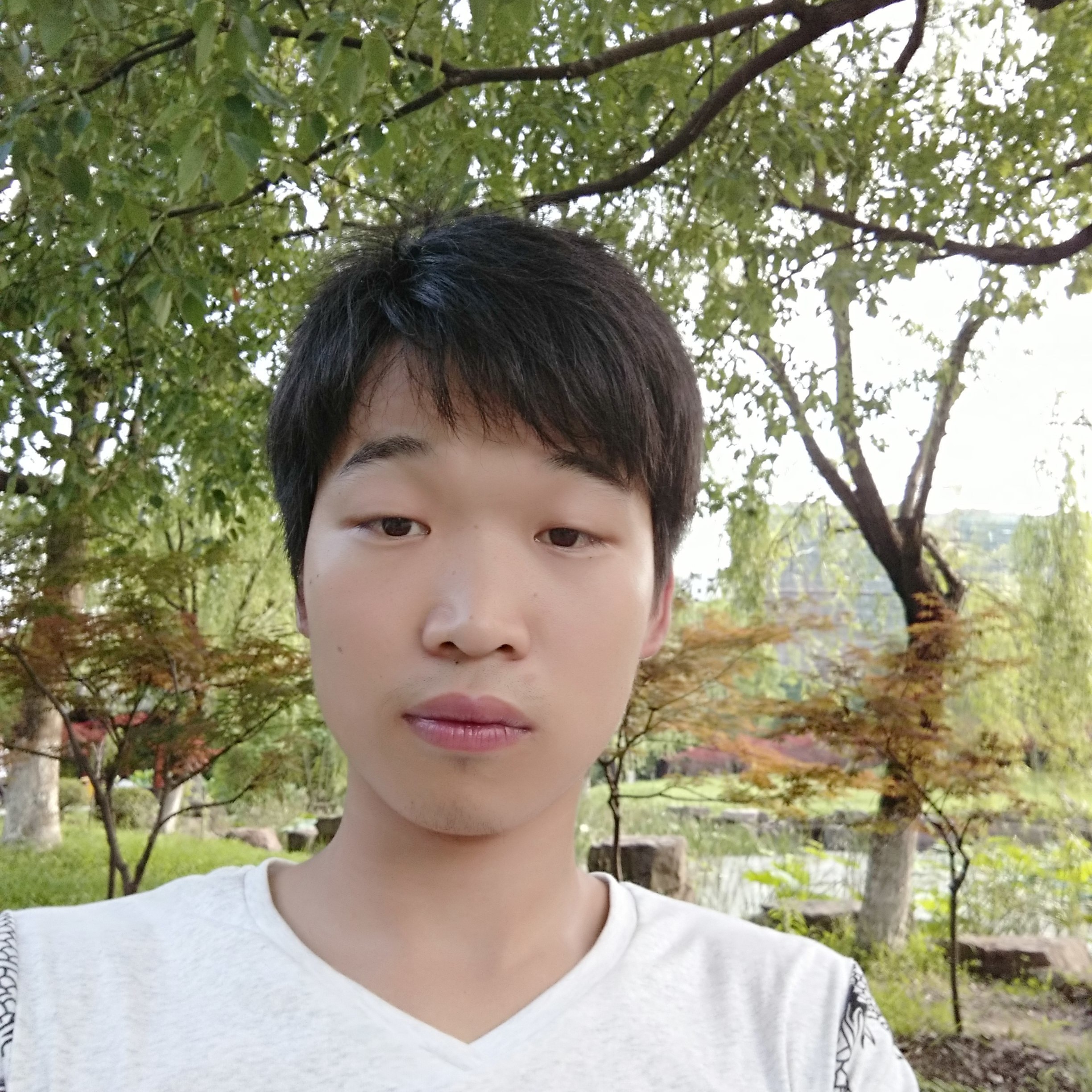 往事闻缓慢的照片