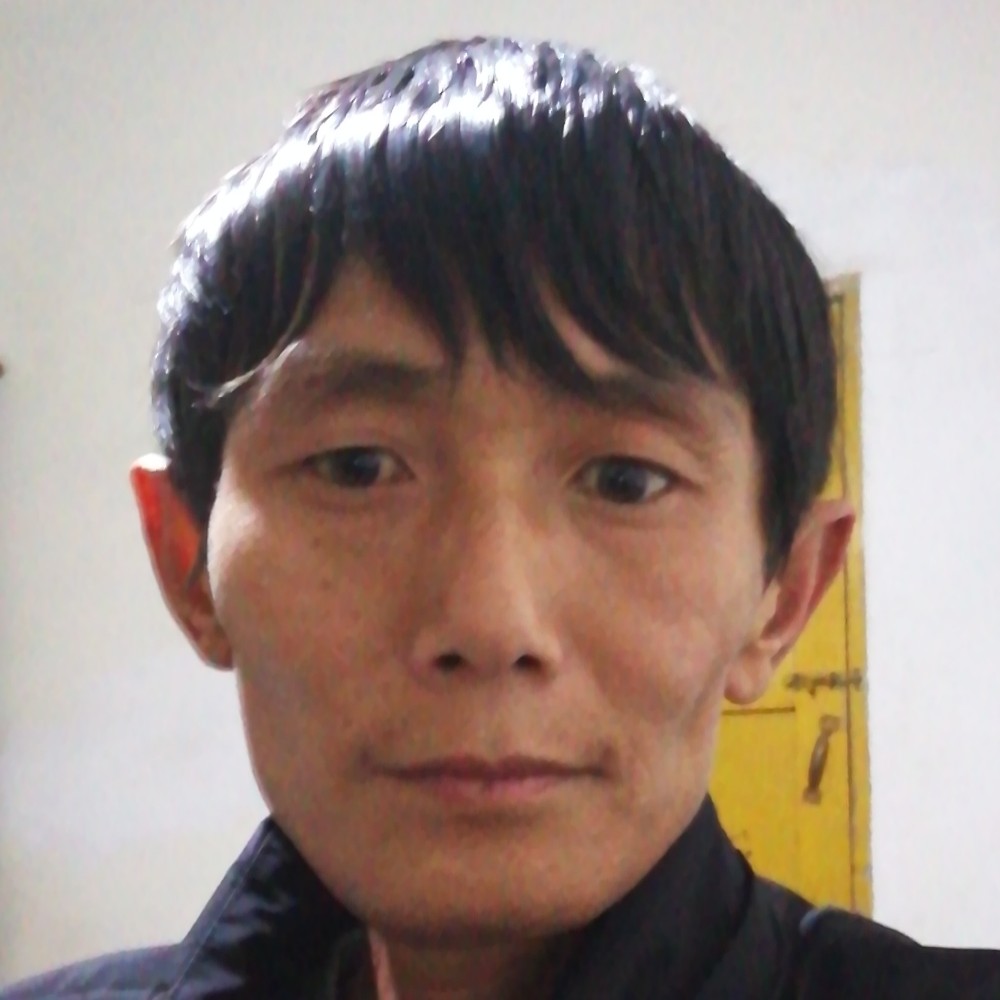 粗心紫菜的照片