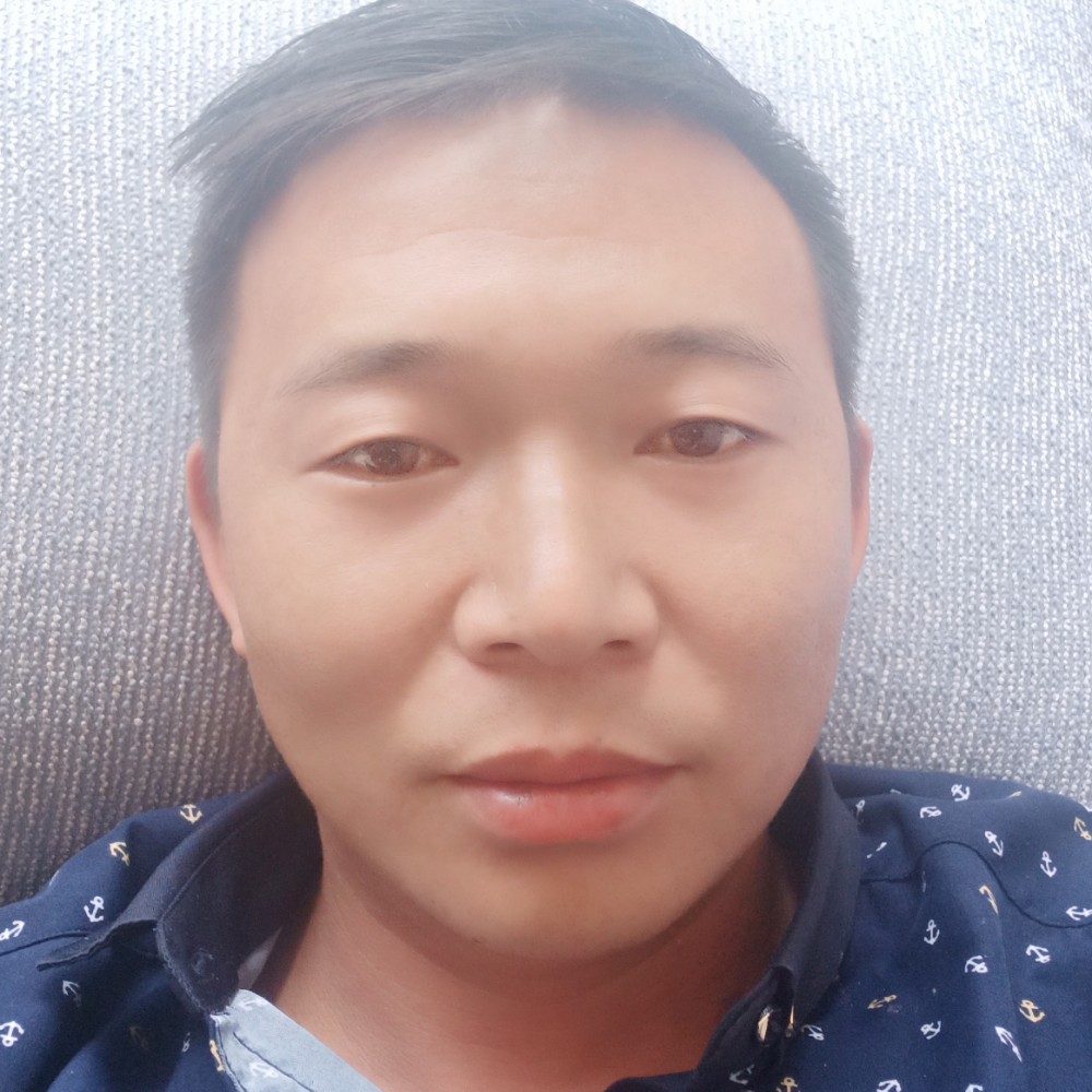 熊的照片