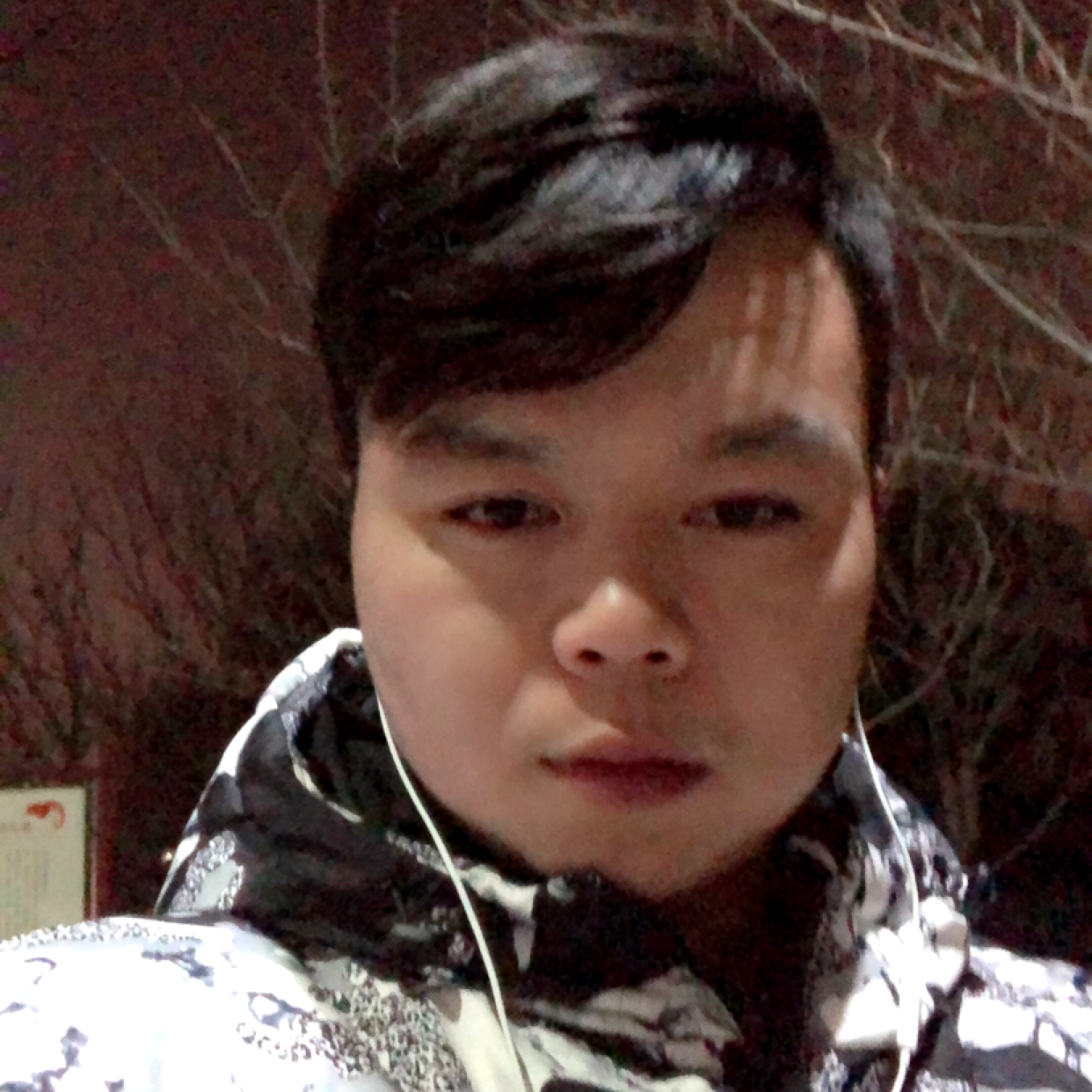 凡心所向素履以往的照片
