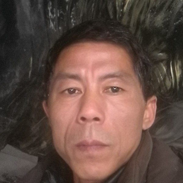 鲤鱼身影的照片