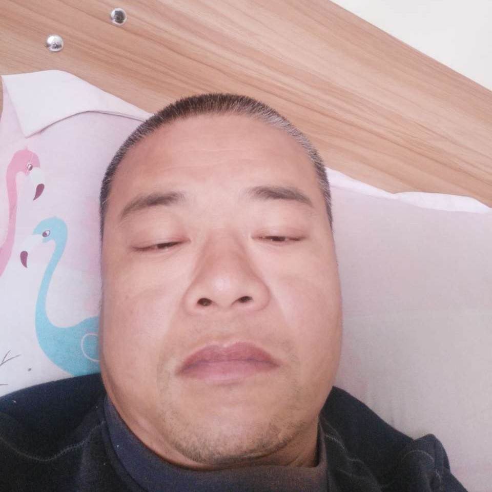 诺言用友好的照片