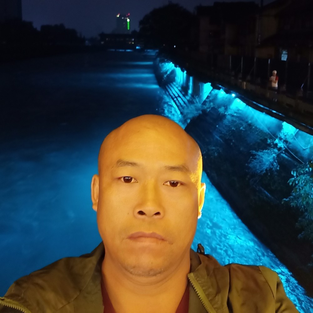 小蜜蜂单身的照片