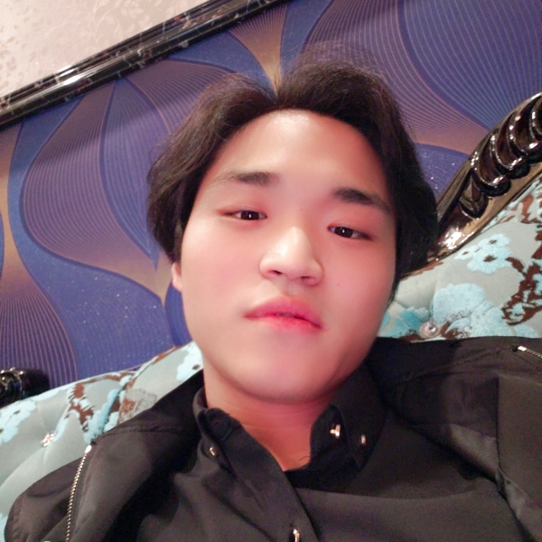 机灵方向日葵的照片