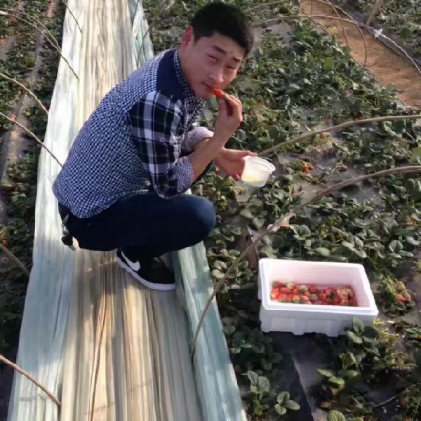 情深缘浅*的照片