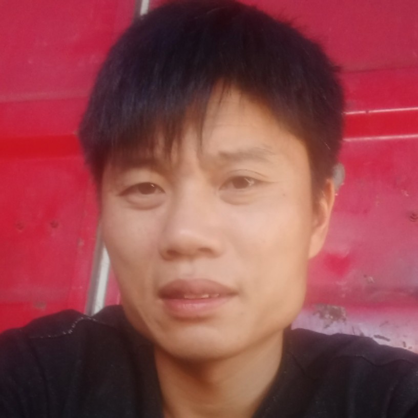 不解的凝眸翅膀的照片