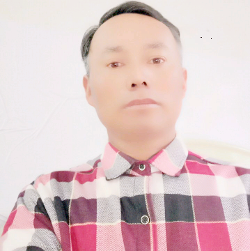 现代苦恋大米的照片