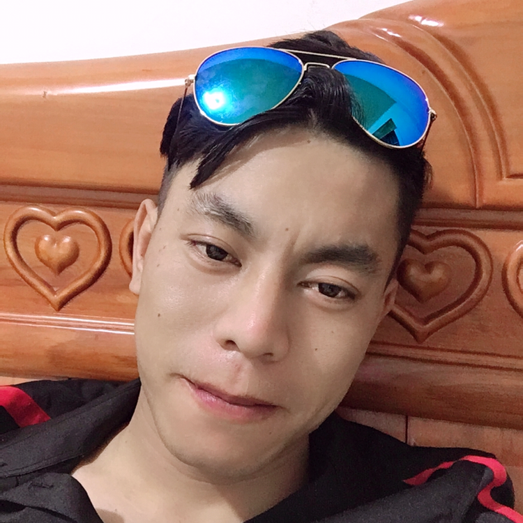 小天鹅向苗条的照片