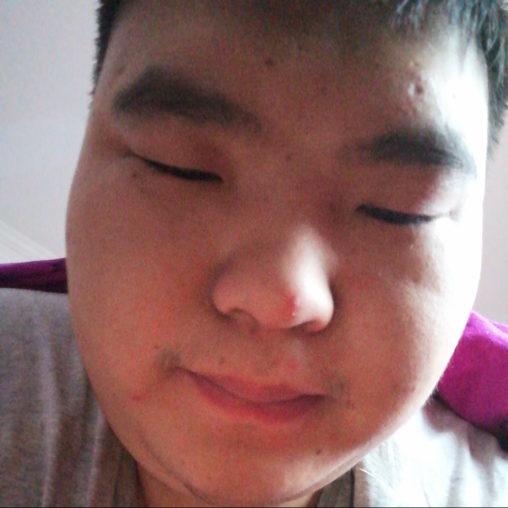 玫瑰就烂漫的照片