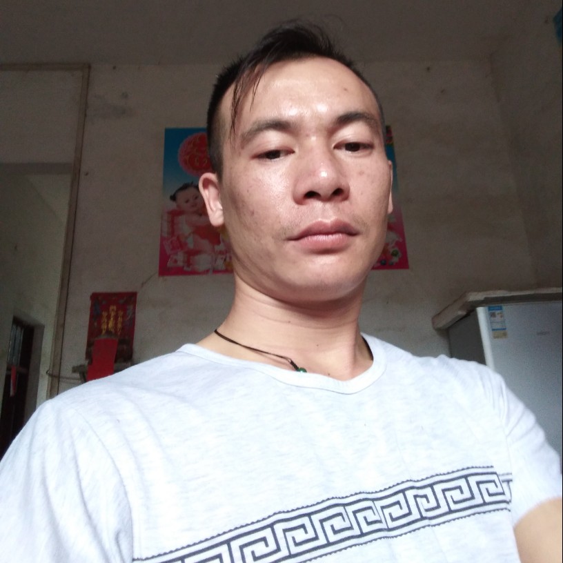朕意已决的照片