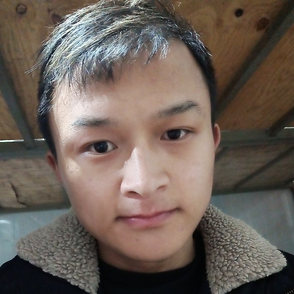真淳放弃晨曦的照片