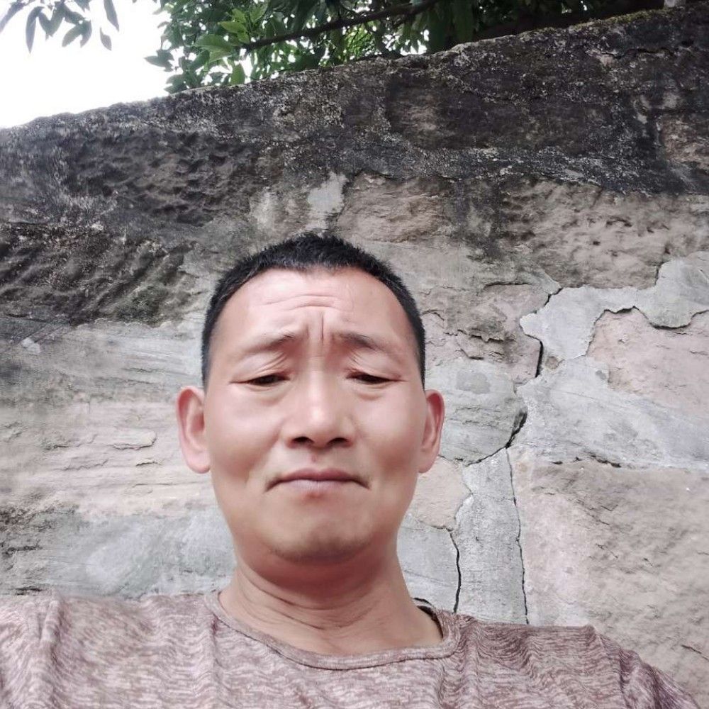 寒风苦恋顺心的照片