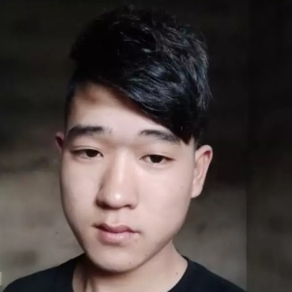 北方天狼的照片