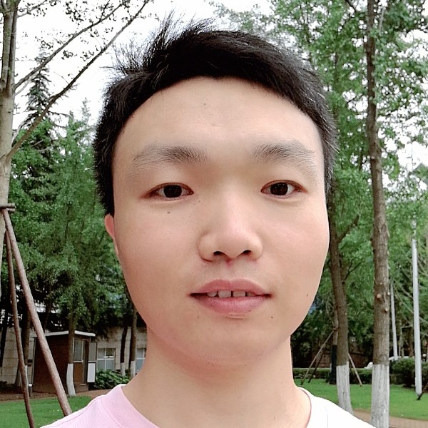 羽毛专一的照片