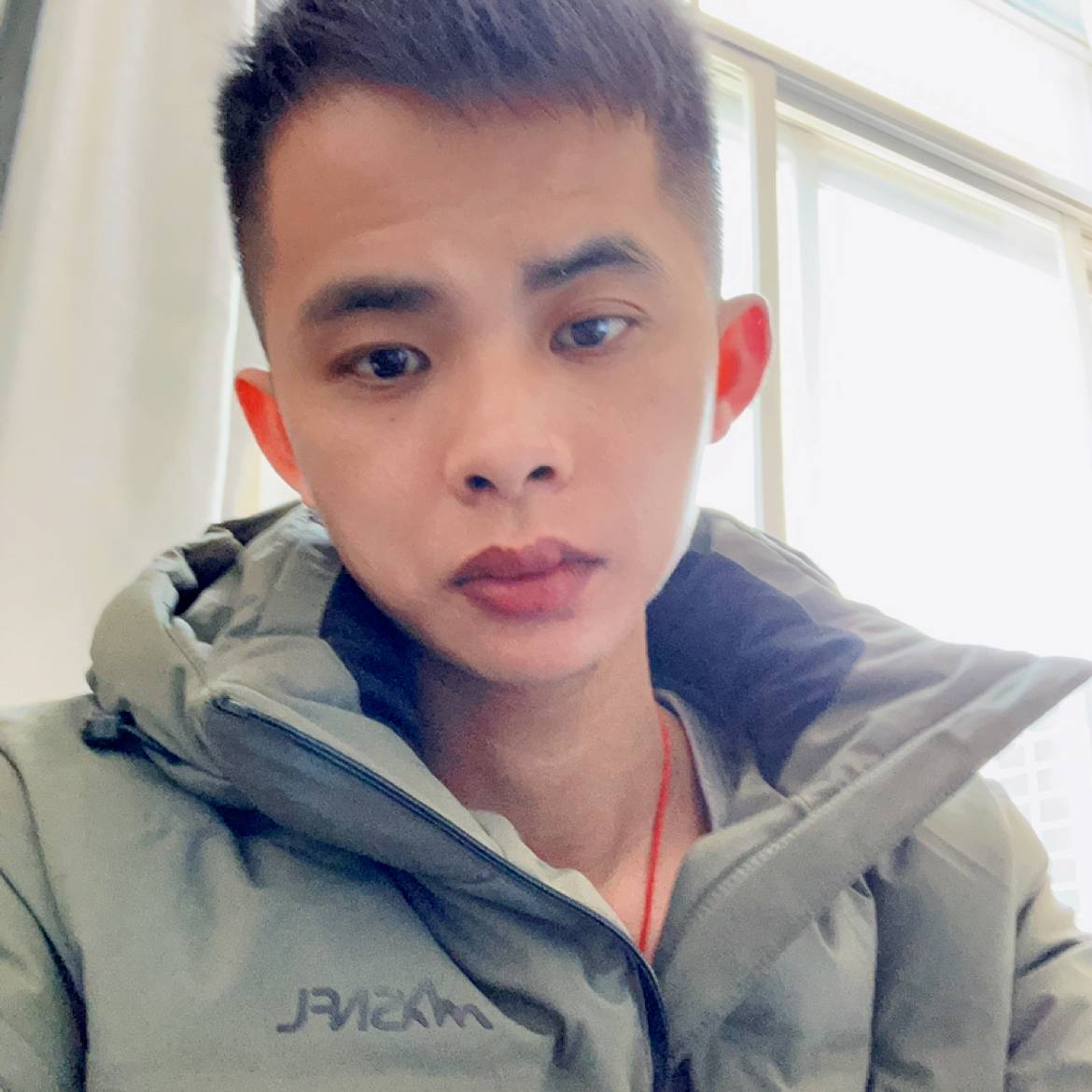 小懒猪回首闪闪的照片