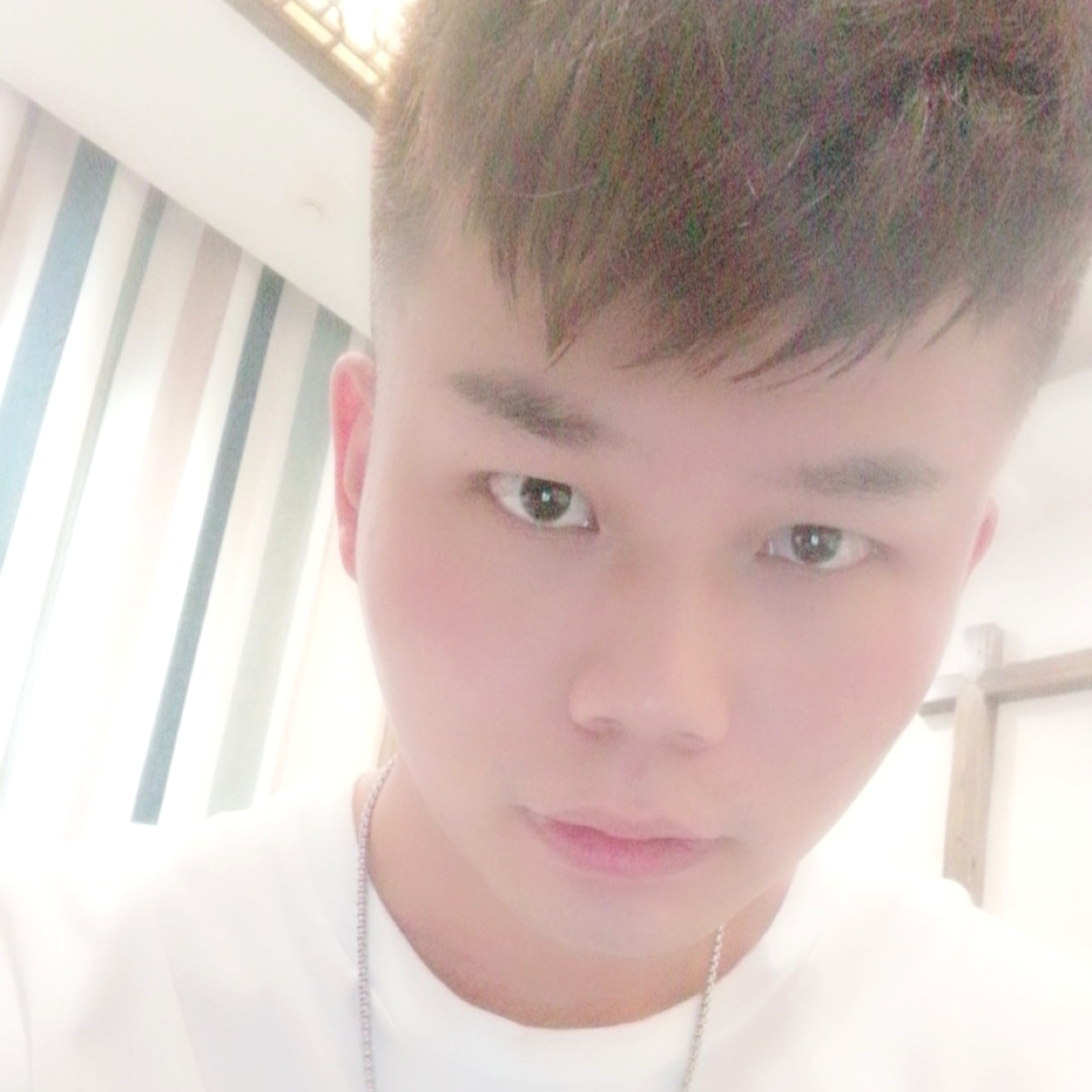 金鱼多么欢呼的照片