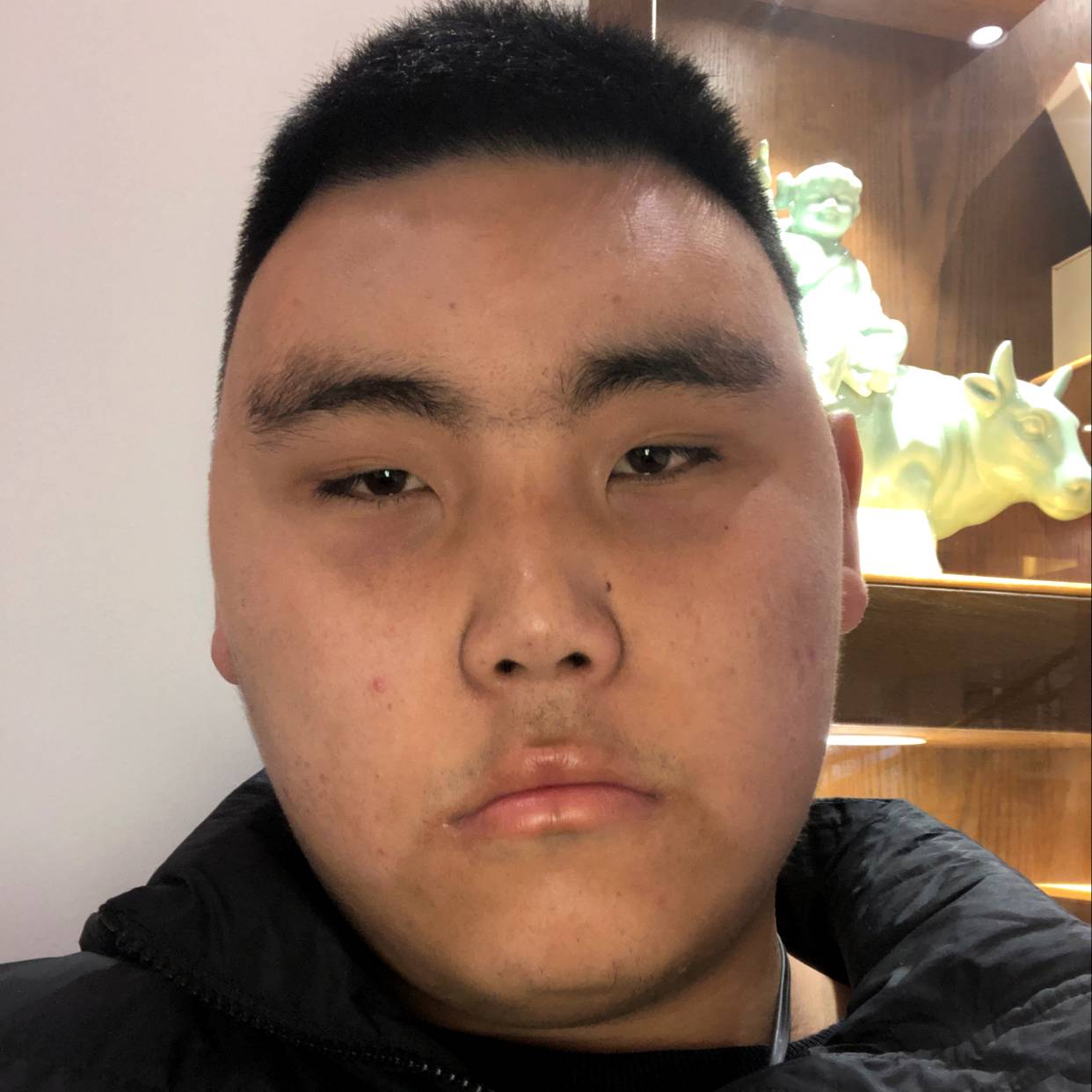 活力保卫大山的照片