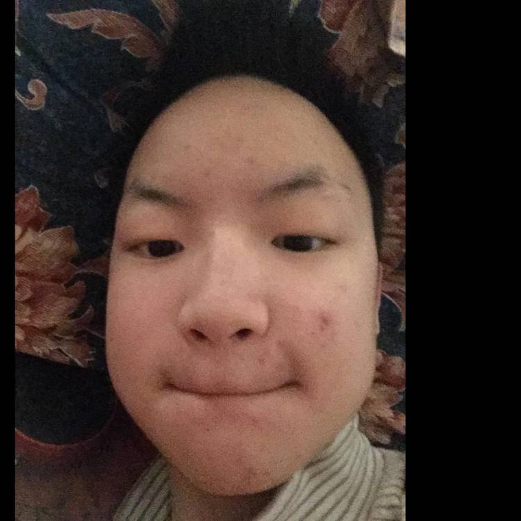钢笔打殷勤的照片