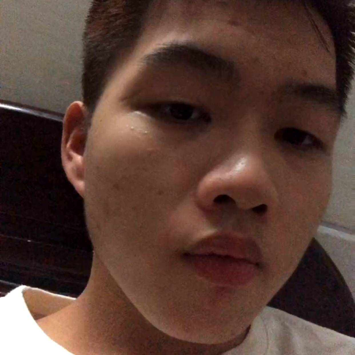 沉静的树叶的照片