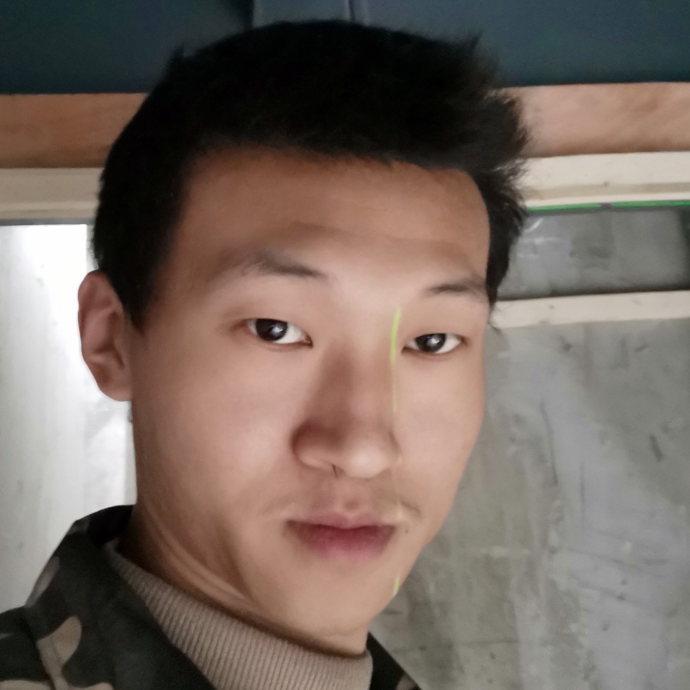 机灵演变板栗的照片