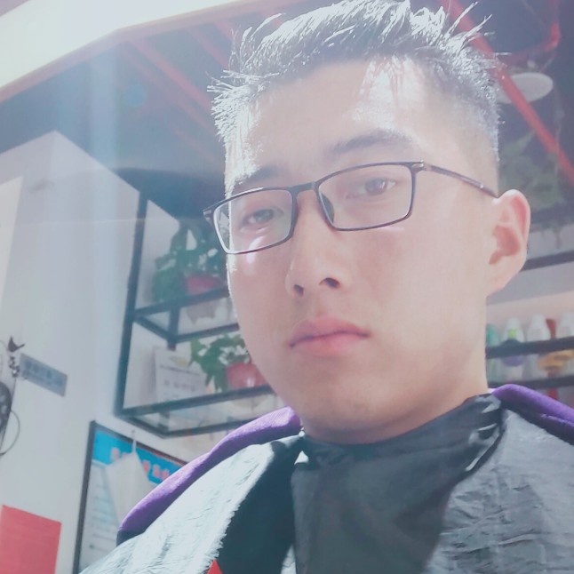 英俊蚂蚁的照片