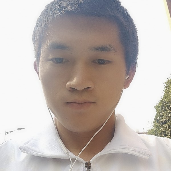 寂冷倾心仙人掌的照片