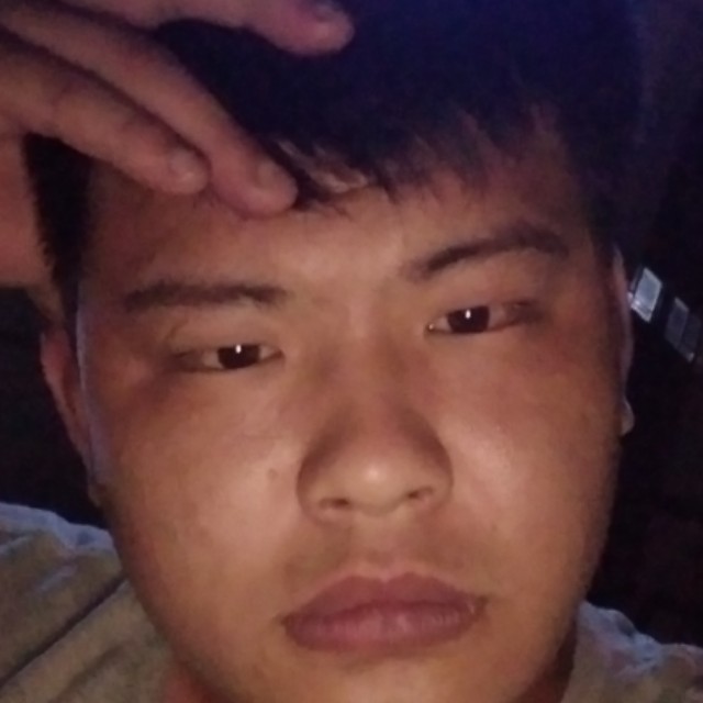 剪影鲤鱼的照片