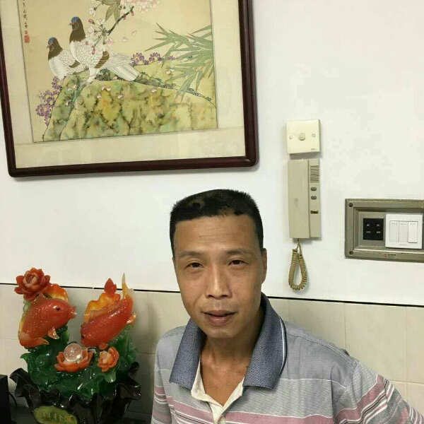 安静战斗机的照片
