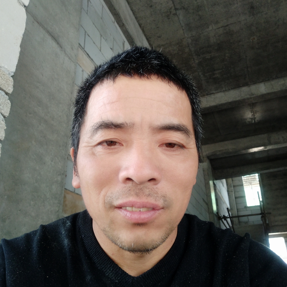 小刺猬爱苗条的照片