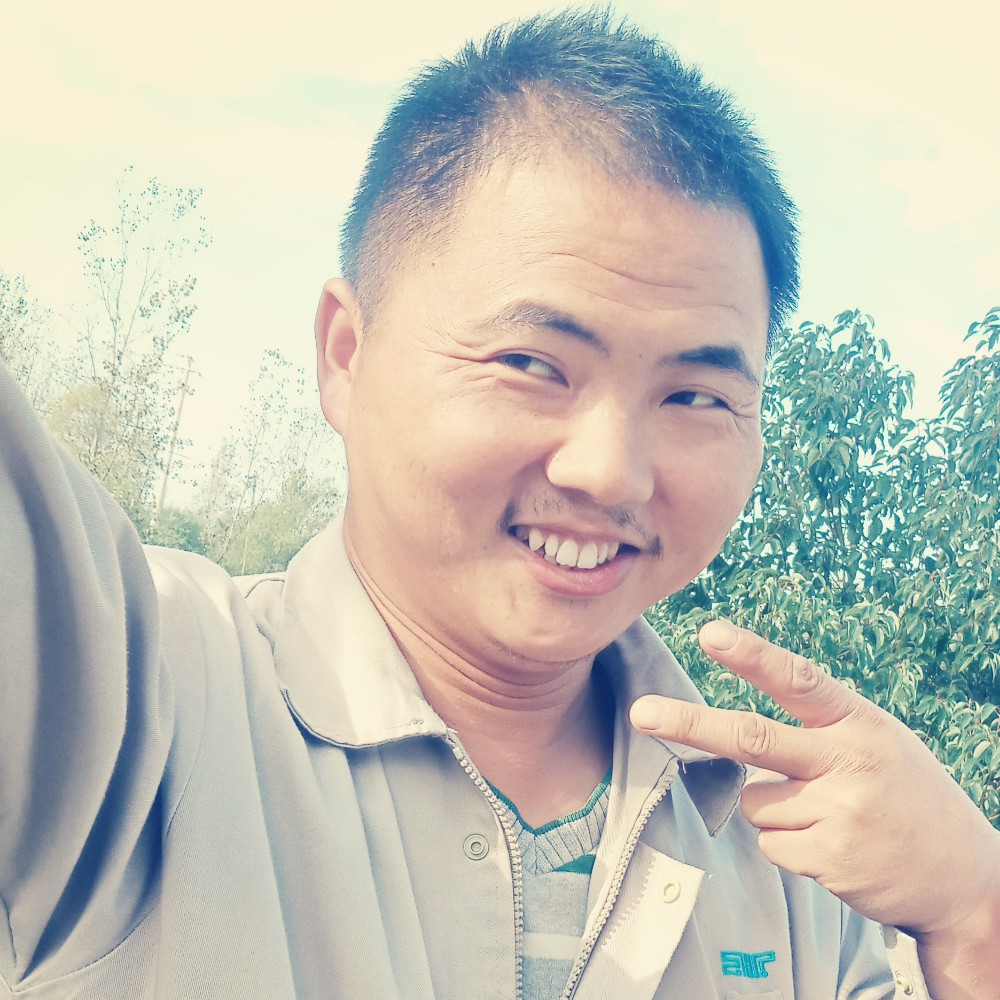 六个小猪的照片