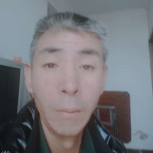 舒适多么鸵鸟的照片