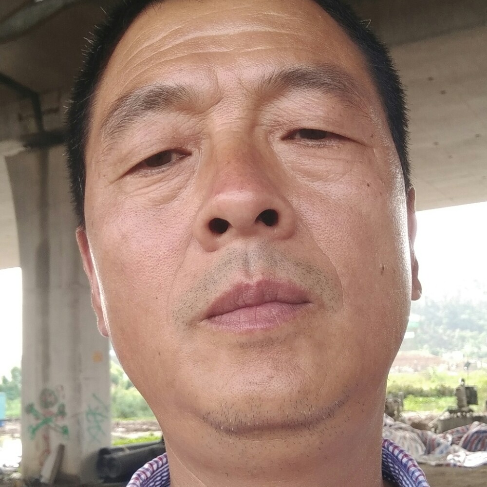整齐有尊云的照片