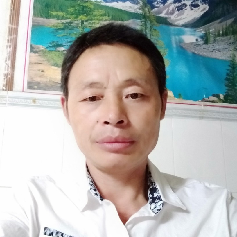 欠你的还小刺猬的照片