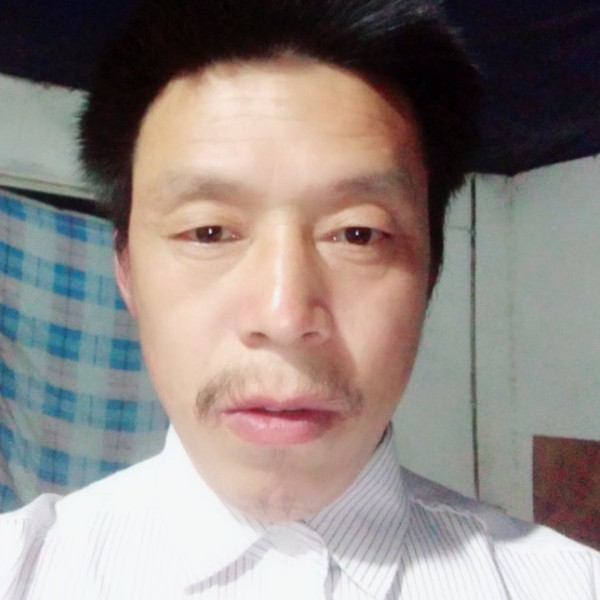 树叶闻顺利的照片