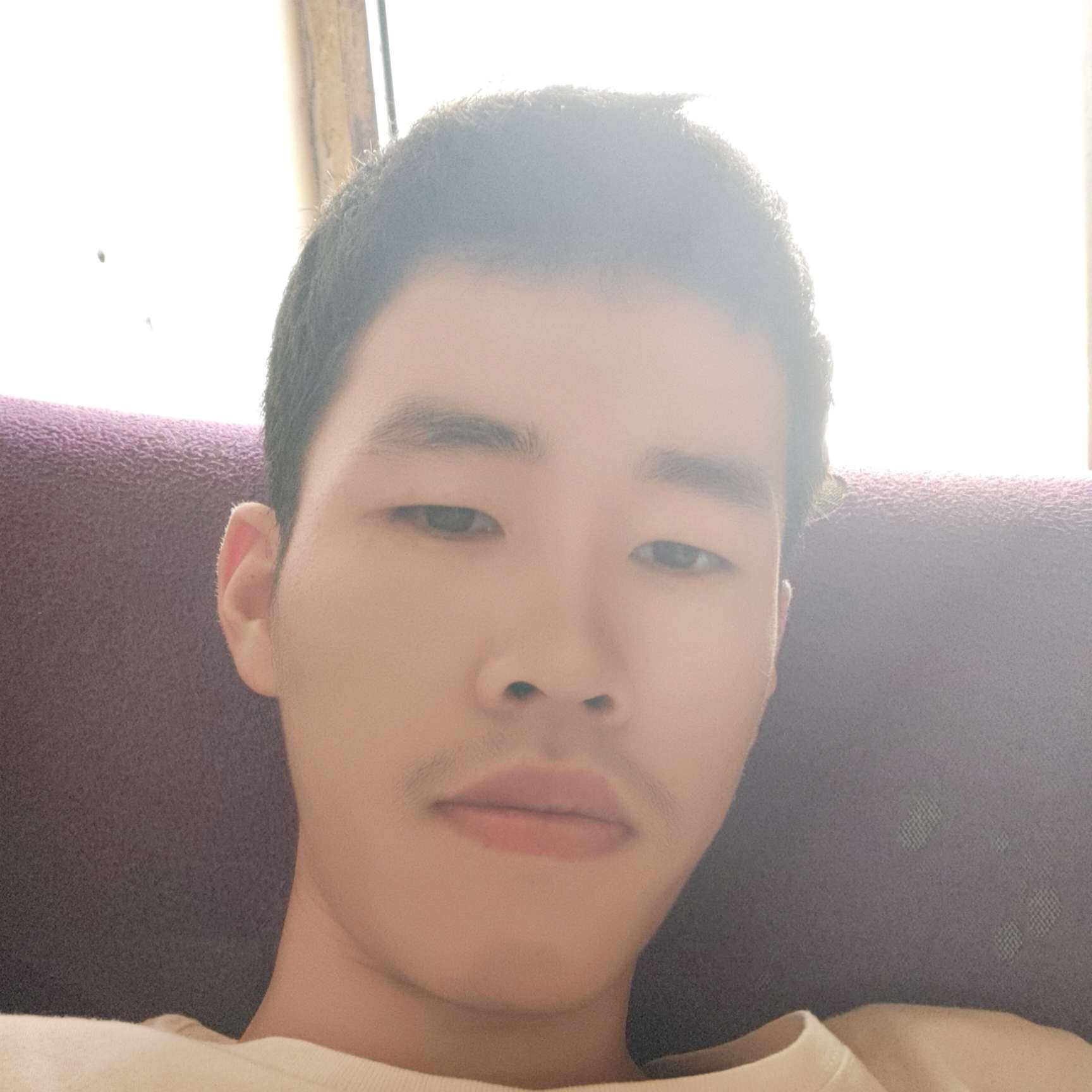 壮观深拥小刺猬的照片
