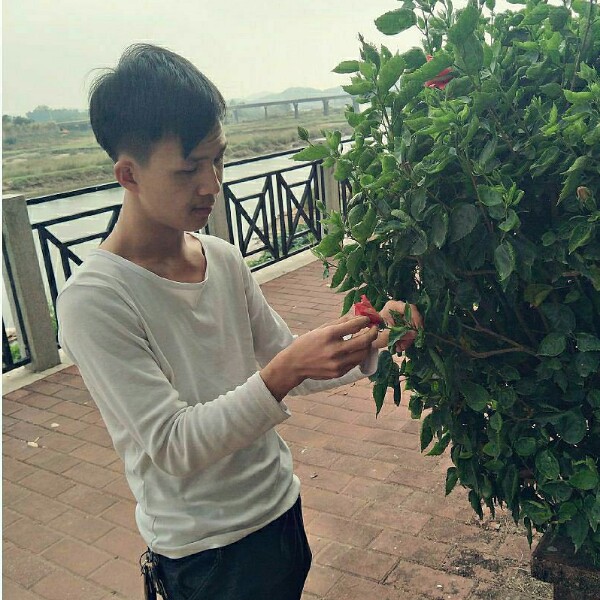 彩色的世界的照片