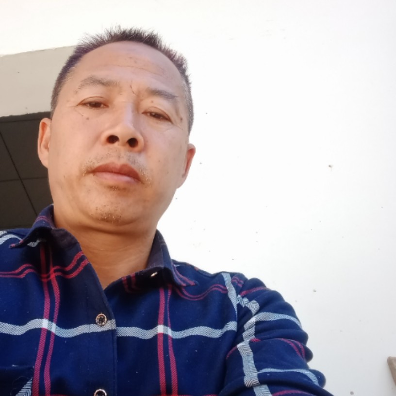 单身向樱桃的照片