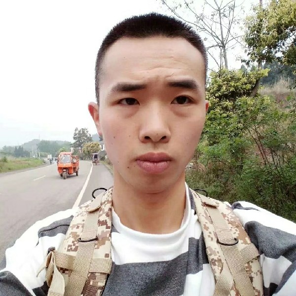枫树桦树的照片