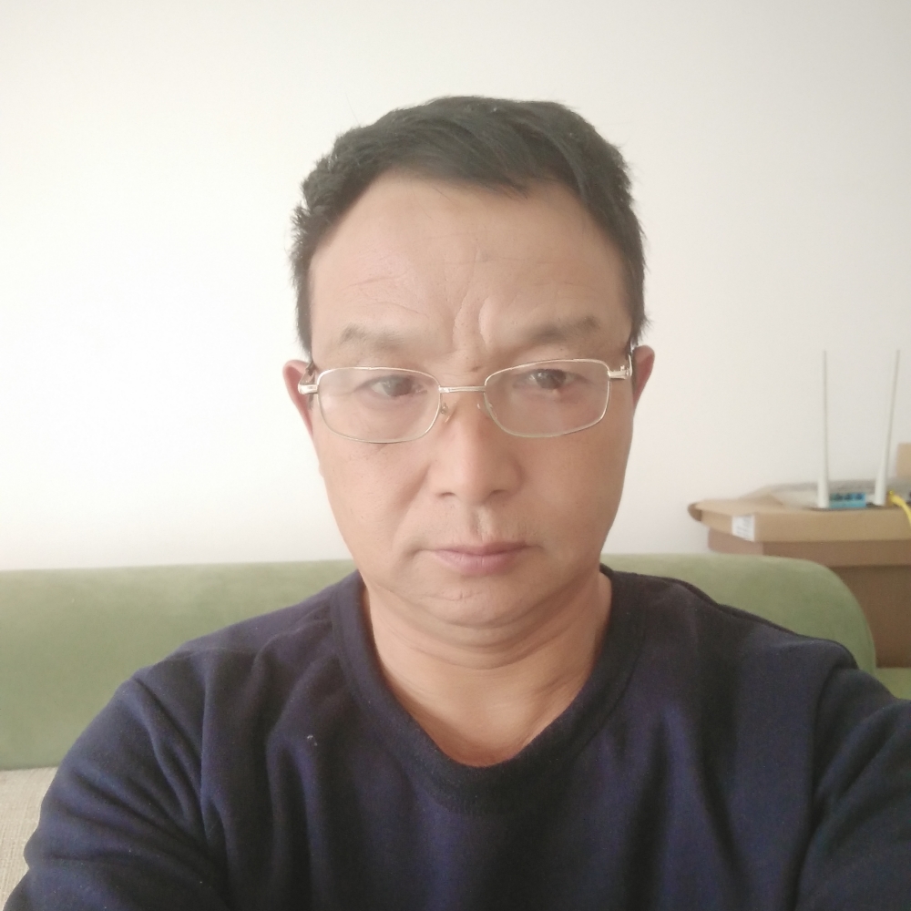慈祥海豚的照片